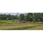 Kawasan Industri Delta Silicon 2: Informasi Terkini dan Potensi Investasi