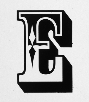 Panduan Lengkap Buku E-Commerce PDF untuk Pemula dan Profesional