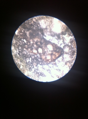 Jelaskan Perbedaan Tabungan dan Investasi dengan Jelas dan Mudah Dipahami