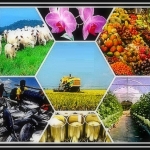 Ekonomi Indonesia Tumbuh Stabil: Peran Ekspansi Manufaktur dan Kontrol Harga