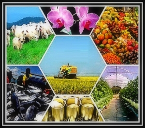 Ekonomi Digital sebagai Pendorong Utama Transformasi PDB Nasional