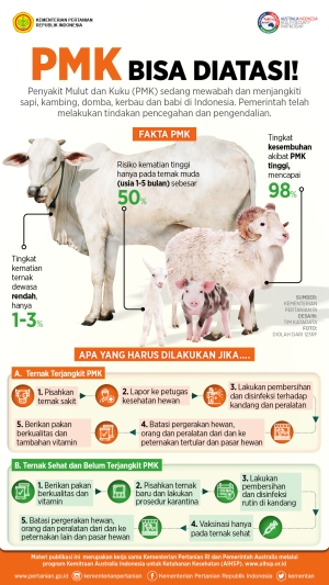 PMK 71/2025: Aturan Diskon PPN DTP Tiket Pesawat Kelas Ekonomi Nataru 2026