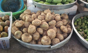 Manfaat E-Commerce bagi Perusahaan: Strategi Bisnis yang Efisien dan Menguntungkan