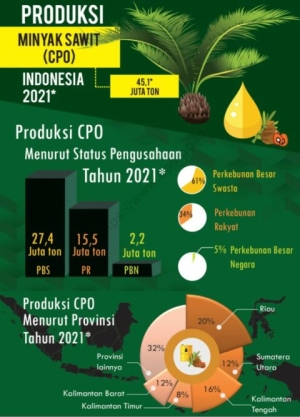 Ekspor Kelapa Sawit Mengalami Peningkatan Produksi di Triwulan III Tahun 2025