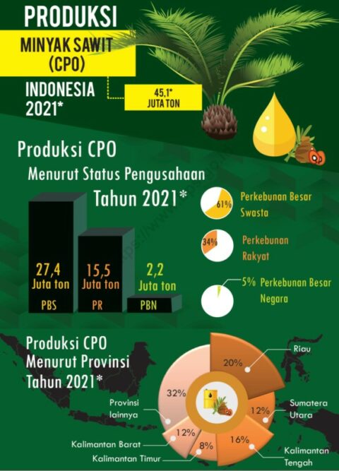 Ekspor Kelapa Sawit Mengalami Peningkatan Produksi di Triwulan III Tahun 2025