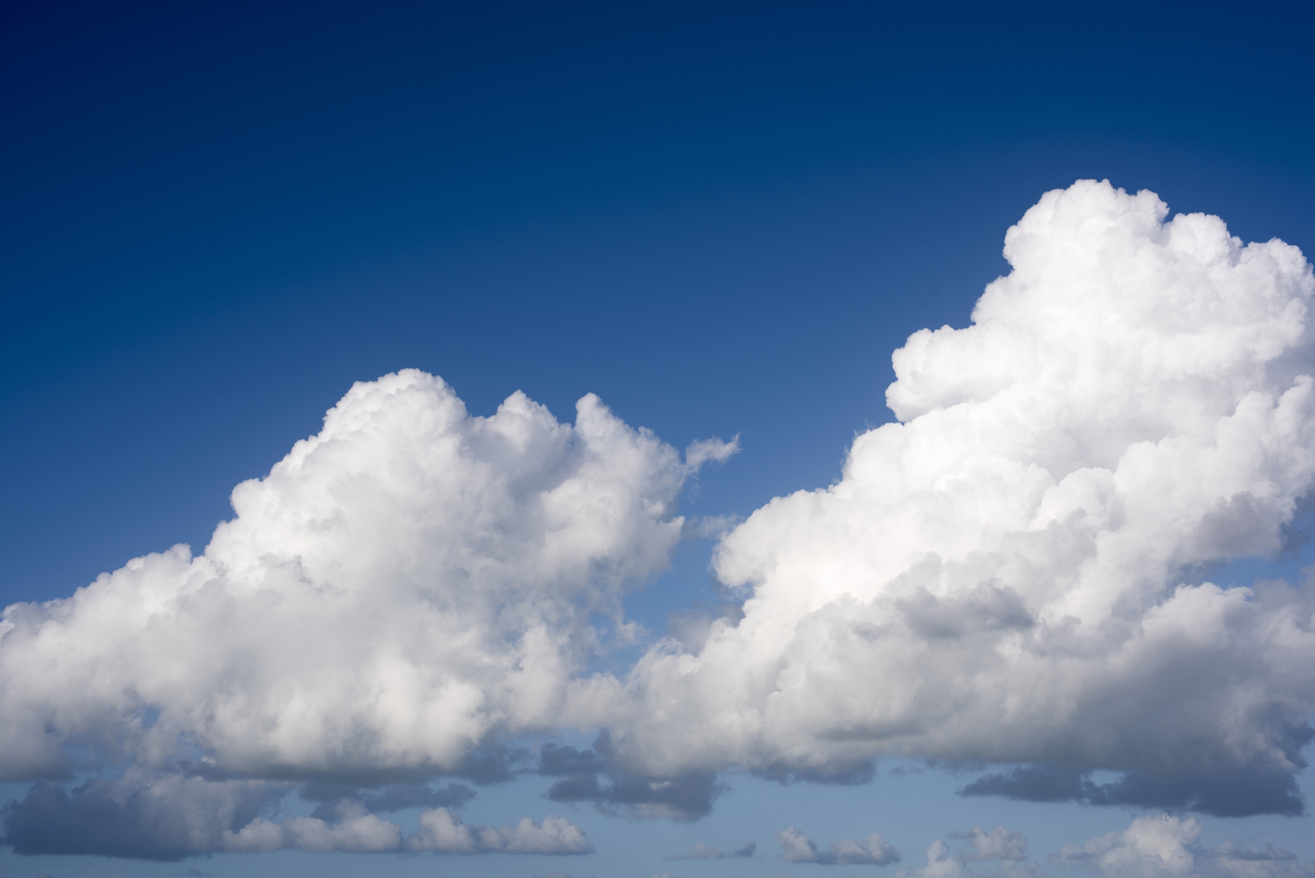Bagaimana Layanan Cloud Computing Mendorong Efisiensi Operasional Perusahaan