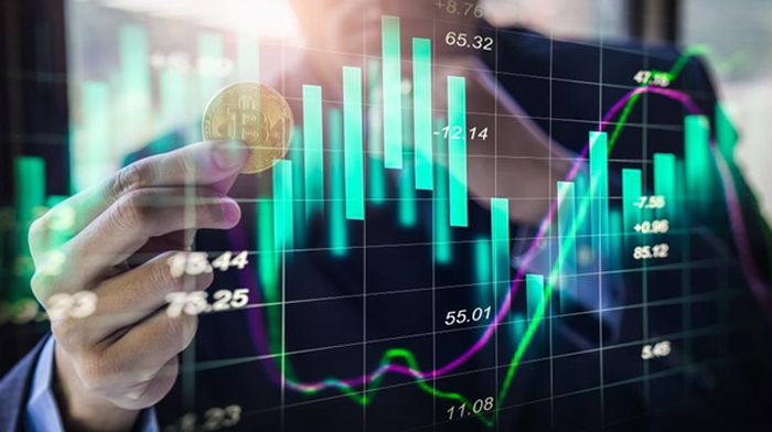 Panduan Lengkap Investasi Reksa Dana untuk Pemula