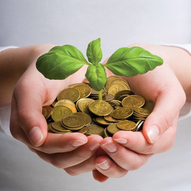 Cara Investasi Modal Kecil dengan Profit Harian yang Efektif