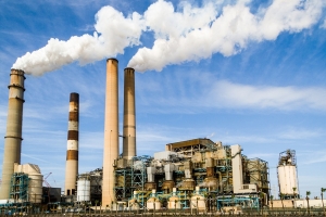 Industri Perkebunan Kelapa Sawit Mengalami Peningkatan Produksi di Q3 2025