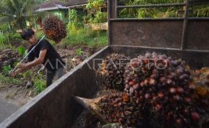 Insentif Pajak untuk Mendukung Ekspor Melalui Hilirisasi: Apa yang Perlu Diketahui