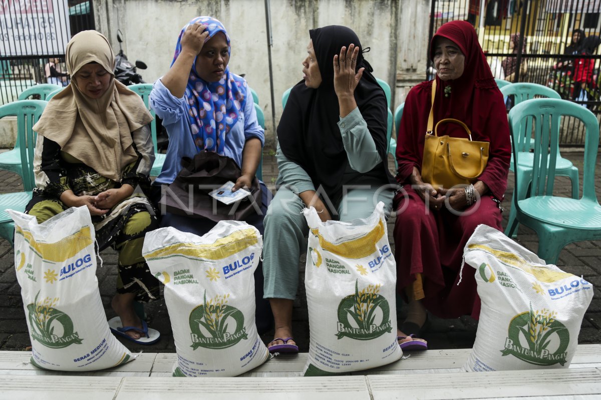 Beli Beras Sekarang atau Tunggu Maret? Ini Jawaban Pakar Logistik
