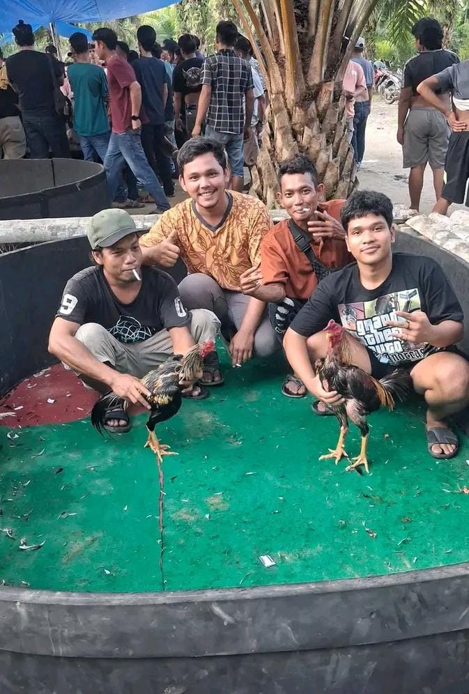 Eks Pengelola Judi Kutalimbaru Diduga Turun Gunung ke Telaga Sari, Polrestabes Medan Belum Beri Tanggapan